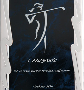 Blaszka grawerowana powlekana  230x180 srebrno - niebieska