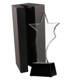 Trofeum szklane z etui C035