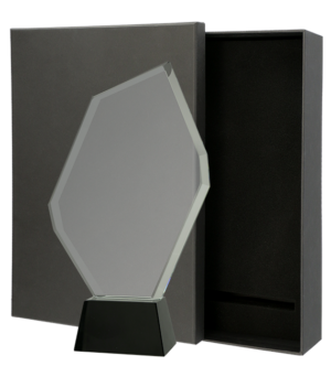 Trofeum szklane z Etui C069