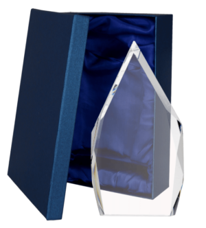 Trofeum szklane  z etui C073