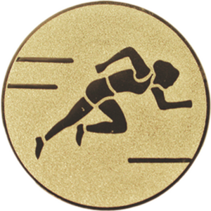 Wklejka aluminiowa - sprint