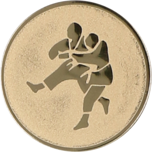 Wklejka aluminiowa - judo