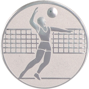 Wklejka aluminiowa srebrna - siatkówka mężczyzn