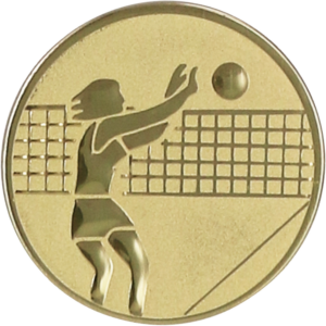 Wklejka aluminiowa - siatkówka kobiet