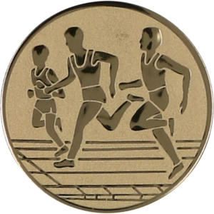 Wklejka aluminiowa złota - biegi