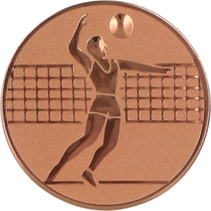 Wklejka aluminiowa brąz - siatkówka mężczyzn
