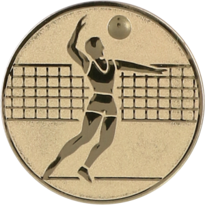 Wklejka aluminiowa złota - siatkówka mężczyzn