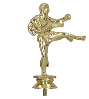 Figurka plastikowa - karate F10/G