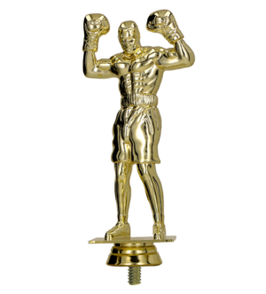 Figurka plastikowa - boks F248/G