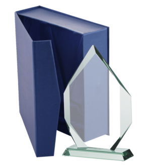 Trofeum szklane z etui G018