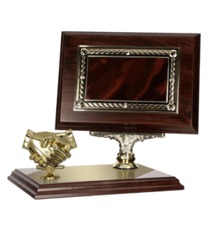 Dyplom z tworzywa sztucznego 175X125 bez grawerki