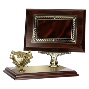 Dyplom z tworzywa sztucznego 200x150 bez grawerki