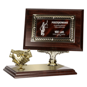 Dyplom z tworzywa sztucznego z metalową blaszką 160x120 graw. na podw. pod fig.