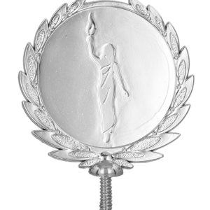 Szczyt plastikowy - srebrny