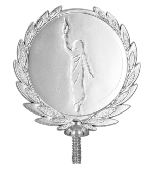 Szczyt plastikowy - srebrny