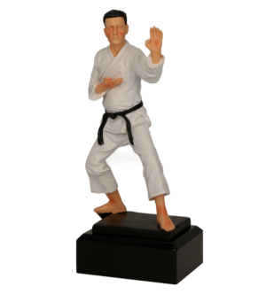 Statuetka odlewana - karate