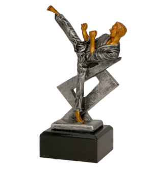 Statuetka odlewana - karate