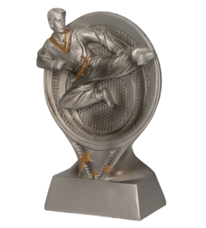Statuetka odlewana - karate RS1601