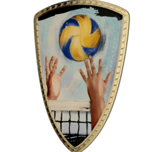 Tarcza plastikowa złota z nadrukiem - SIATKÓWKA