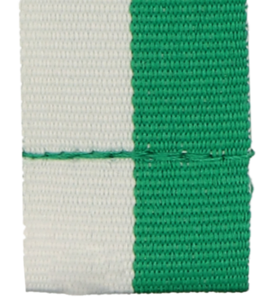 Wstążka 20 mm - bez karabińczyka - biało-zielona