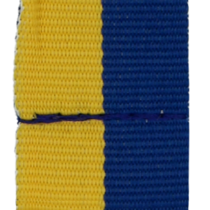 Wstążka 20 mm - bez karabińczyka - żółto-niebieska