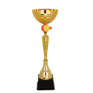 Puchar złoty - S5S13C