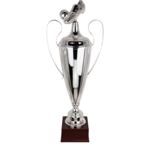 Puchar srebrny - S5P54A