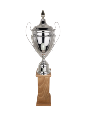 Puchar srebrny - S5P41A