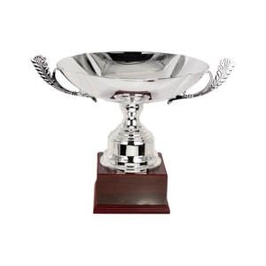 Puchar srebrny - S5P42A