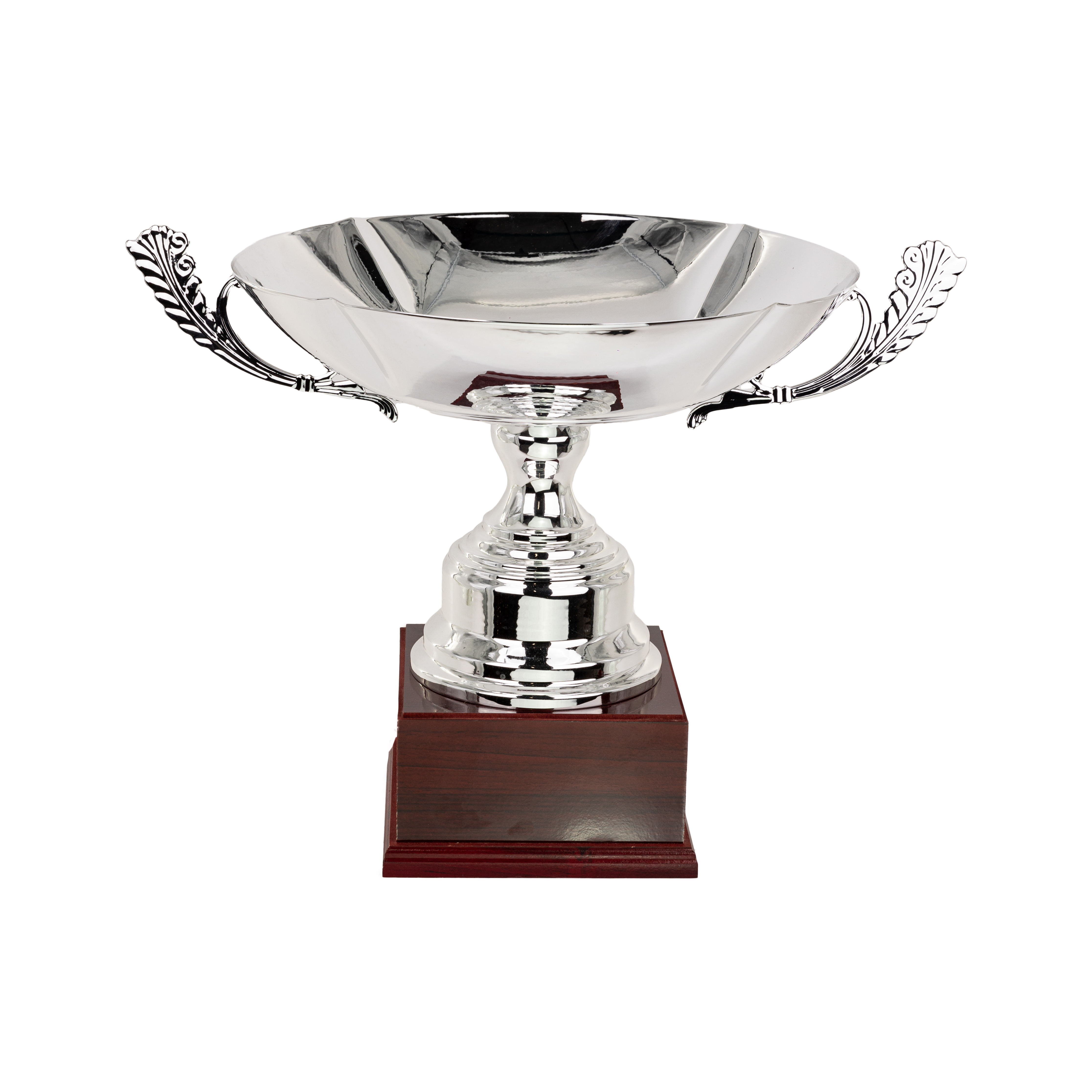 Puchar srebrny - S5P42A