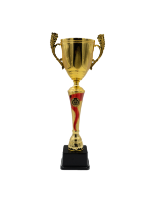 Puchar złoty- S5S05A