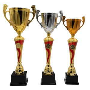 Puchar brązowo-złoty- S5S05C