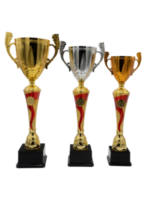 Puchar brązowo-złoty- S5S05C