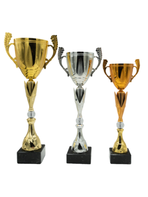 Puchar srebrny- S5S06B