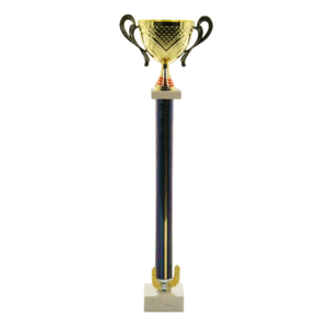 Puchar filarkowy - S5P28C