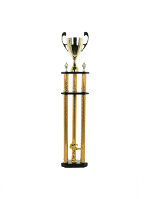 Puchar filarkowy - S5P12A