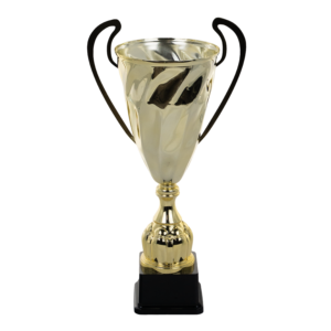 Puchar metalowy - S5P50A