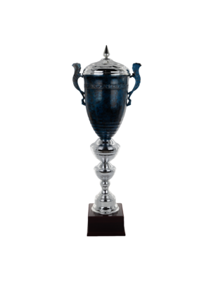 Puchar srebrno-granatowy - S5P51A