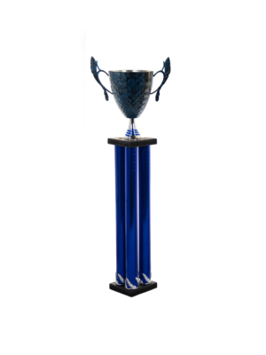 Puchar filarkowy - S5P07A