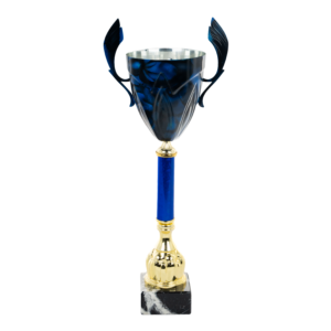 Puchar piłkarski - S5S17A