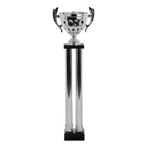 Puchar filarkowy - S5P09A