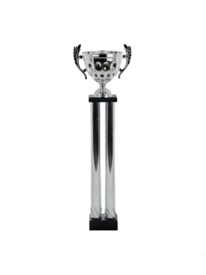 Puchar filarkowy - S5P09A