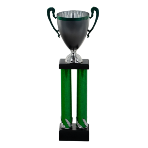 Puchar filarkowy - S5P11A