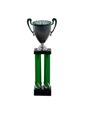 Puchar filarkowy - S5P11A