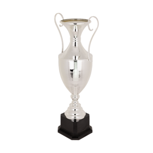 Puchar srebrny - S5P55C