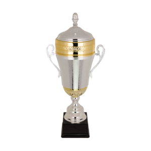 Puchar srebrno-złoty - S5P48C