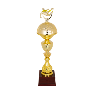 Puchar piłkarski- S5S34A