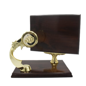 Dyplom drewniany ze statuetką