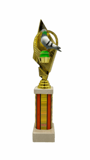 Puchar filarkowy gołąb - S5GO5