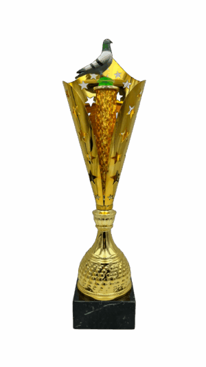 Puchar gołąb - S5GO4